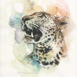 Leopard by Nicole van Rooyen Art