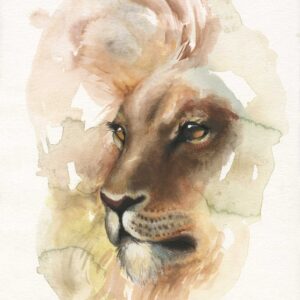 Lion by Nicole van Rooyen Art