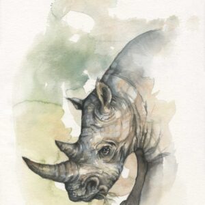 Rhino by Nicole van Rooyen