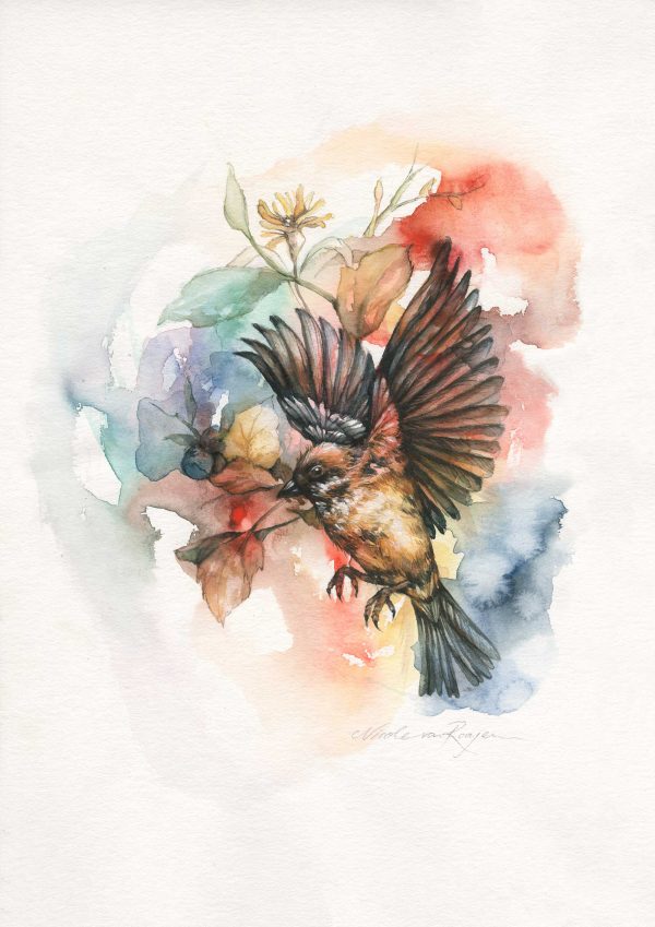 Sparrow by Nicole van Rooyen